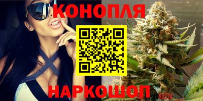 каннабис Новозыбков