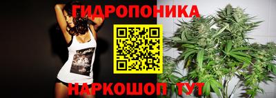 mdma Новодвинск