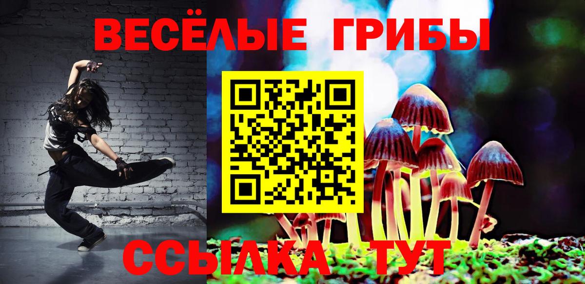 Галлюциногенные грибы прущие грибы  где найти наркотики  Саяногорск  Вход с VPN 